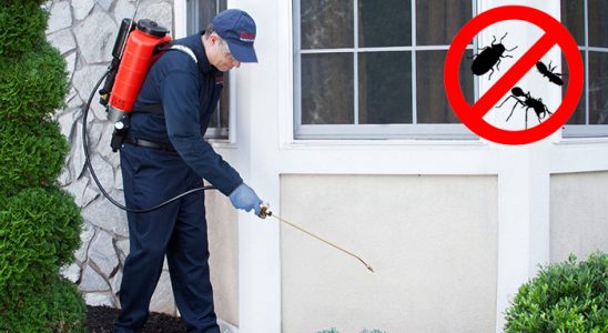 Evka 5 Böcek İlaçlama böcek ilaçlama ve haşere kontrolü — ilaclama-tr.com